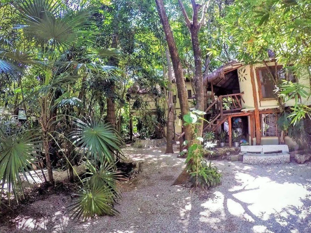 Shalala Hotel Playa del Carmen